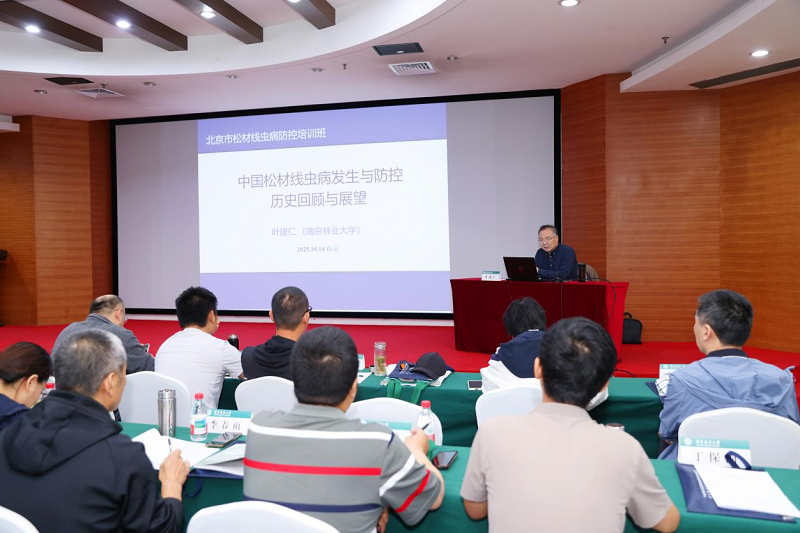 图片2_92912图片2